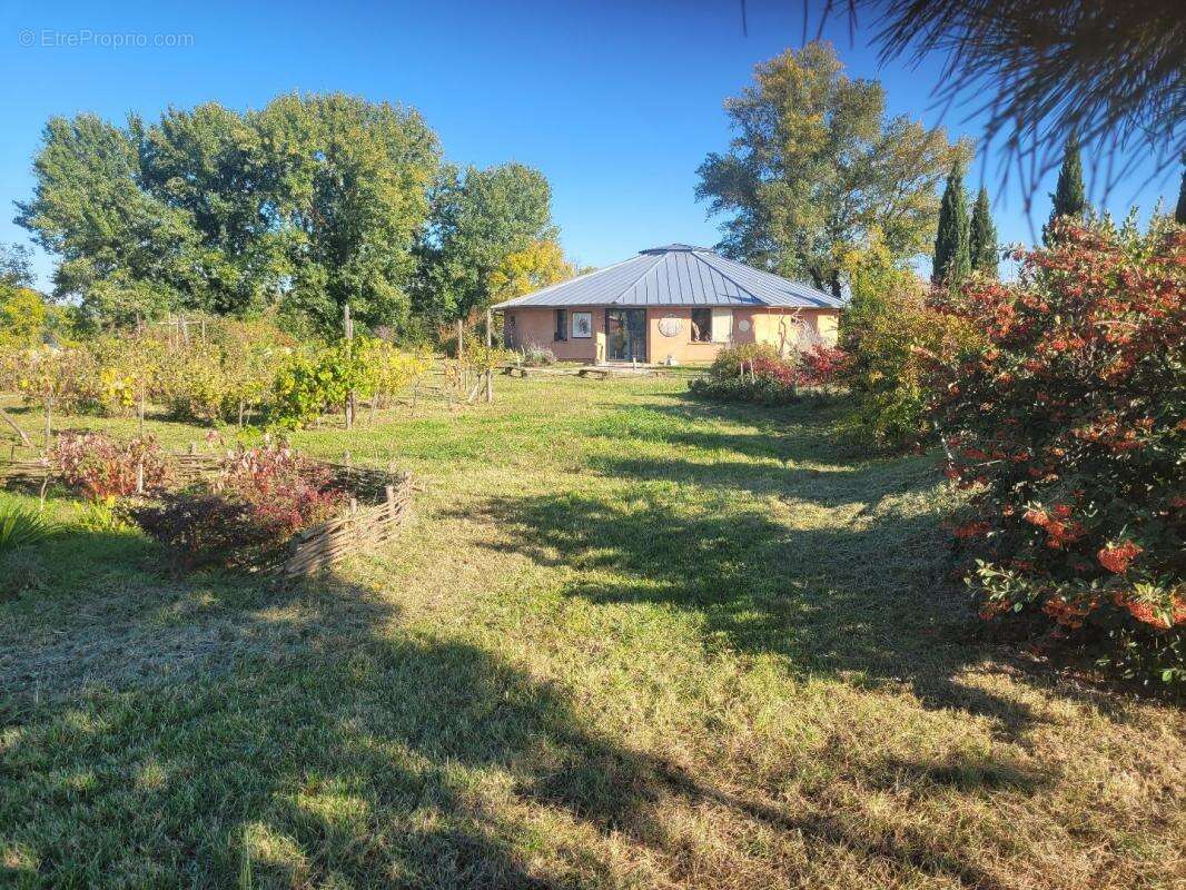 Commerce à CASTELNAU-DE-LEVIS