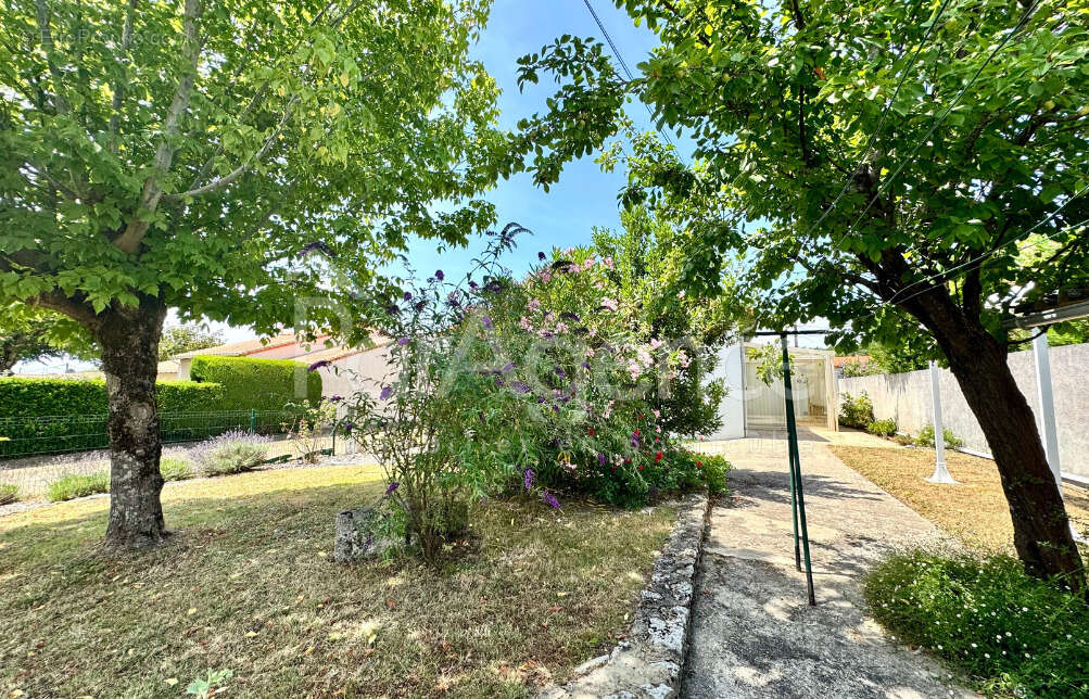 Maison à SAINT-PALAIS-SUR-MER