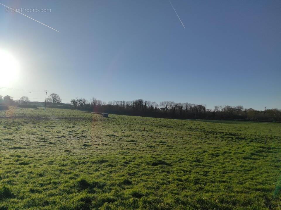 Terrain à VILLERS-SUR-MER