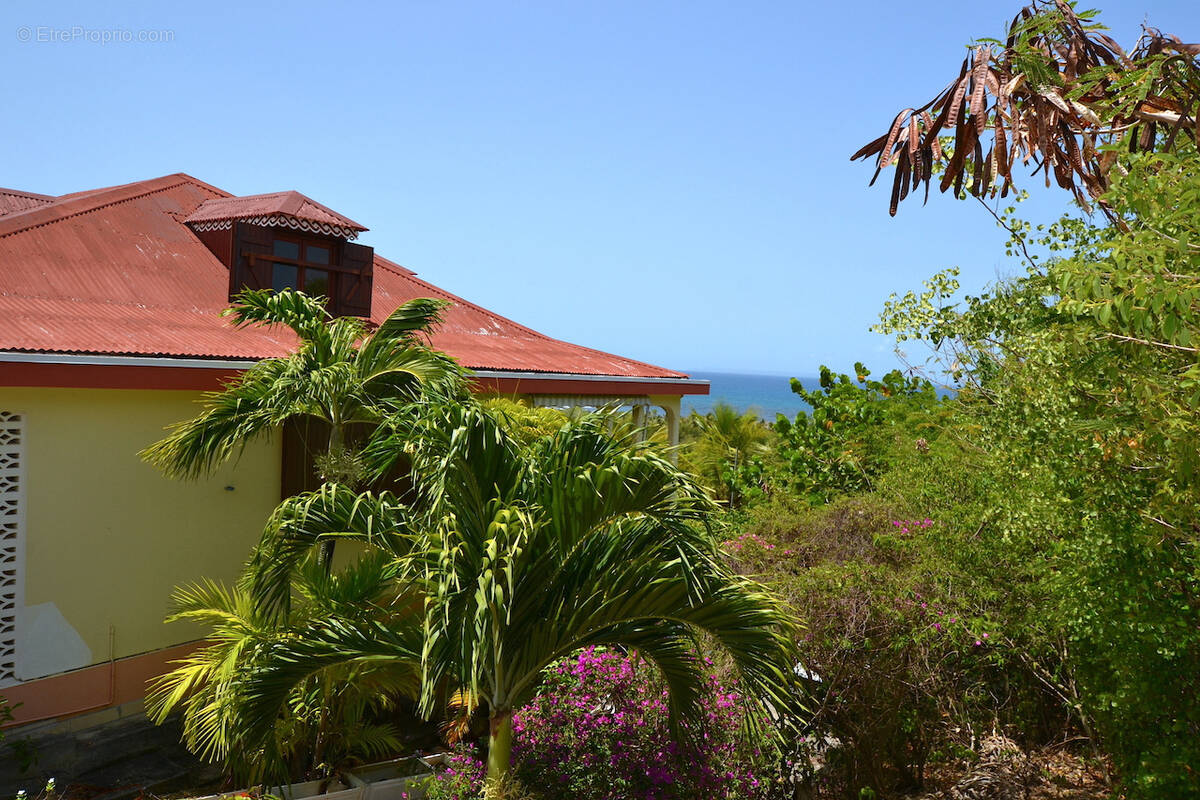 Maison à SAINTE-ANNE