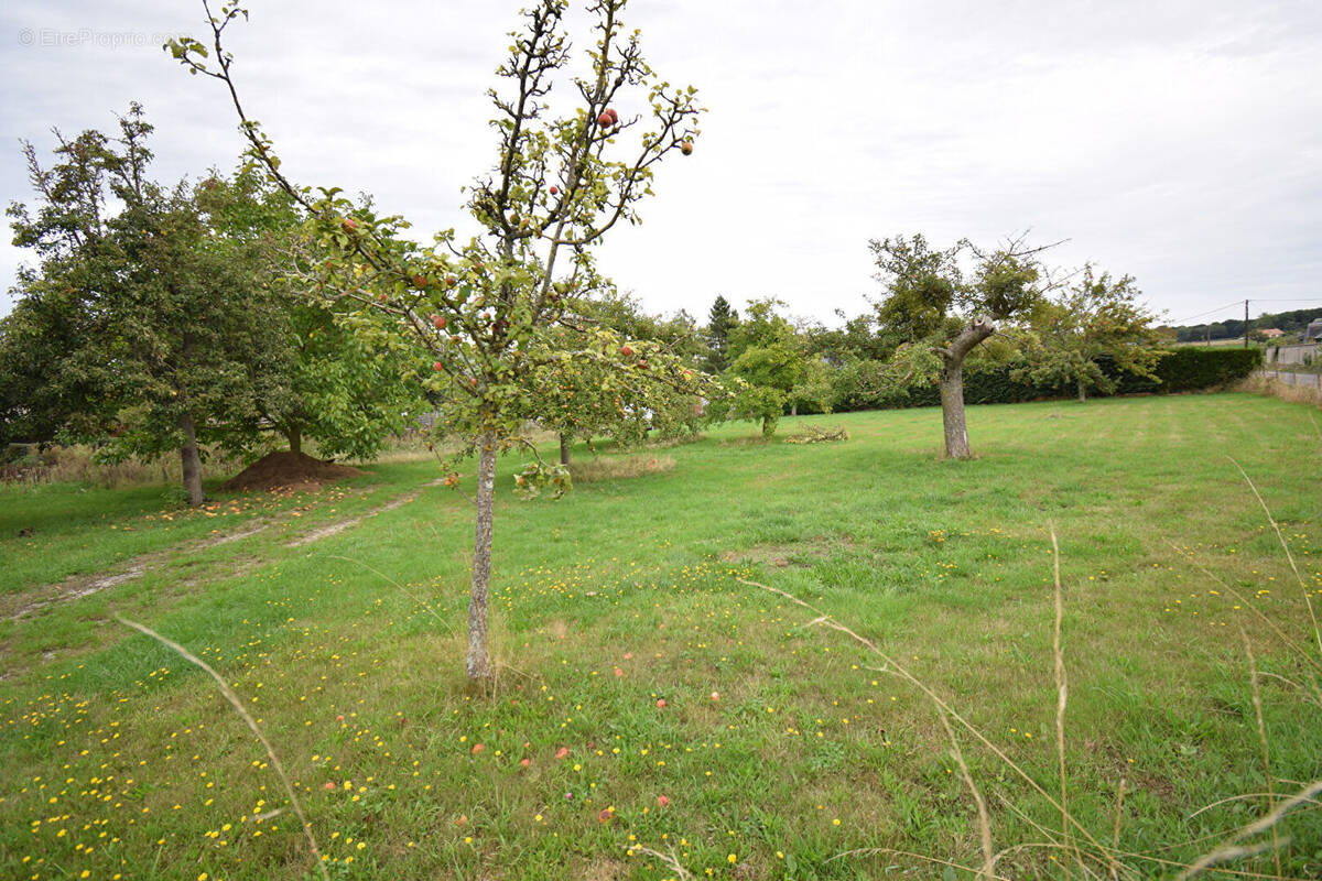 Terrain à LE BEC-THOMAS