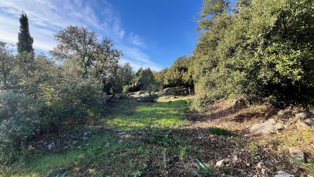 Terrain à GATTIERES