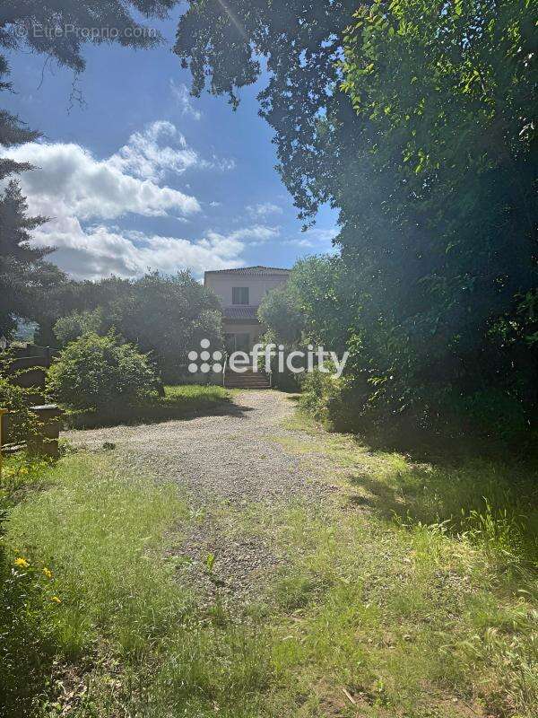 Maison 160 m² à Sorbo-Ocagnano  - photo 3
