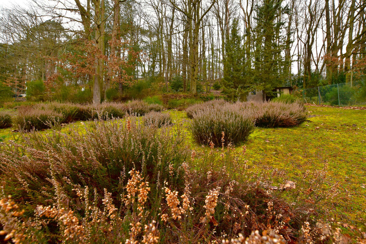 Maison à LES ESSARTS-LE-ROI