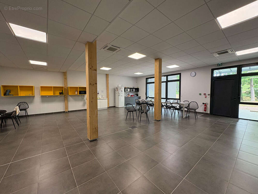 Commerce à SAINT-ETIENNE-DU-ROUVRAY