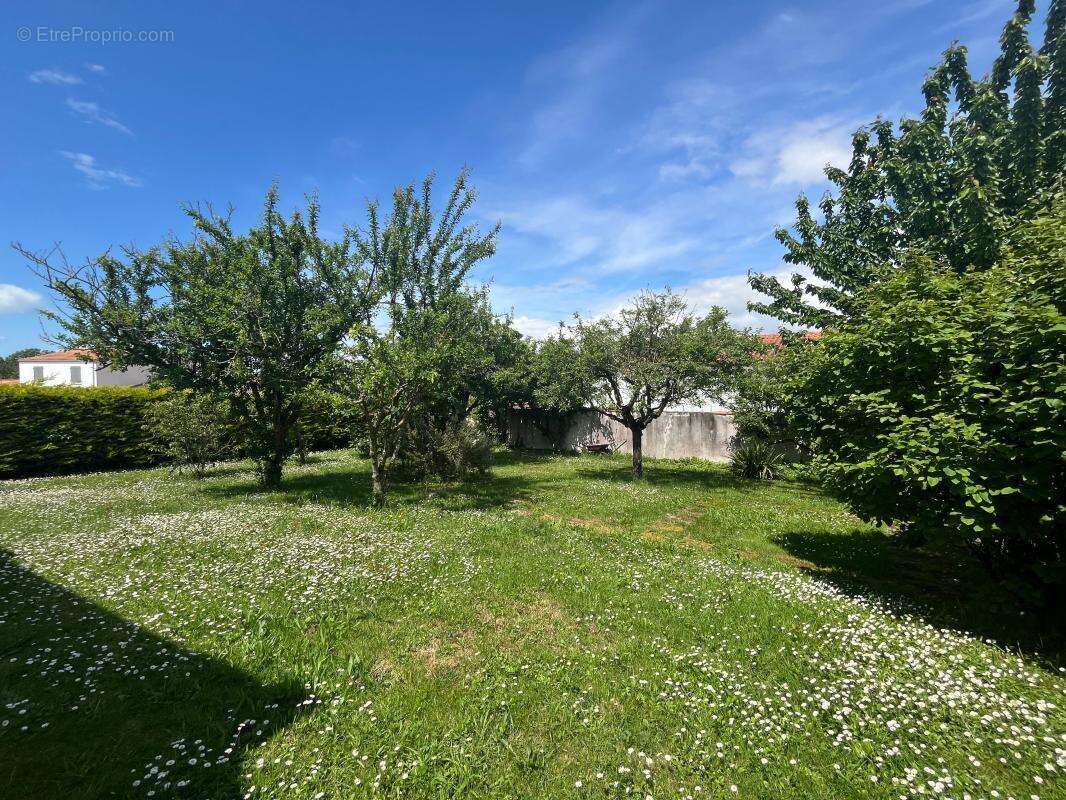 Terrain à NIEUL-SUR-MER