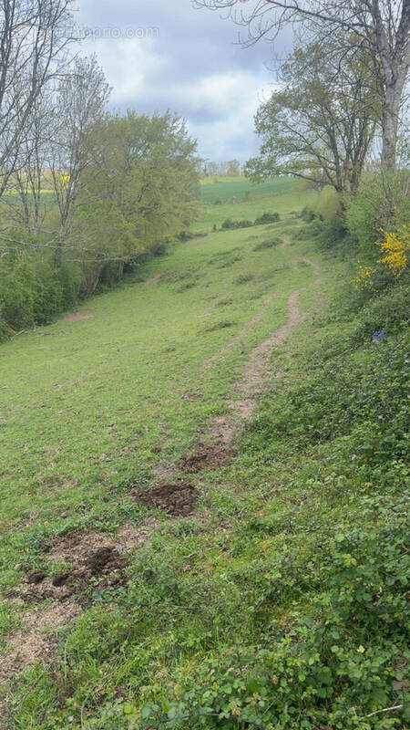Terrain à SAINT-PIERRE-LA-VIEILLE