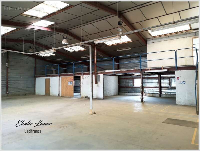 Commerce à MAUBOURGUET