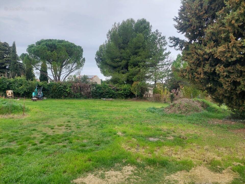 Terrain à CHEVAL-BLANC