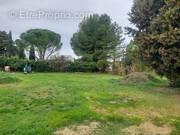 Terrain à CHEVAL-BLANC