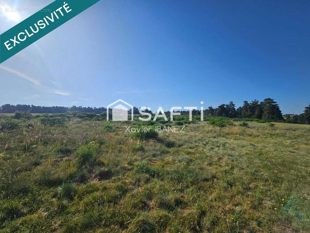 Terrain 10270 m² à Saint-Chely-D'apcher  - photo 3