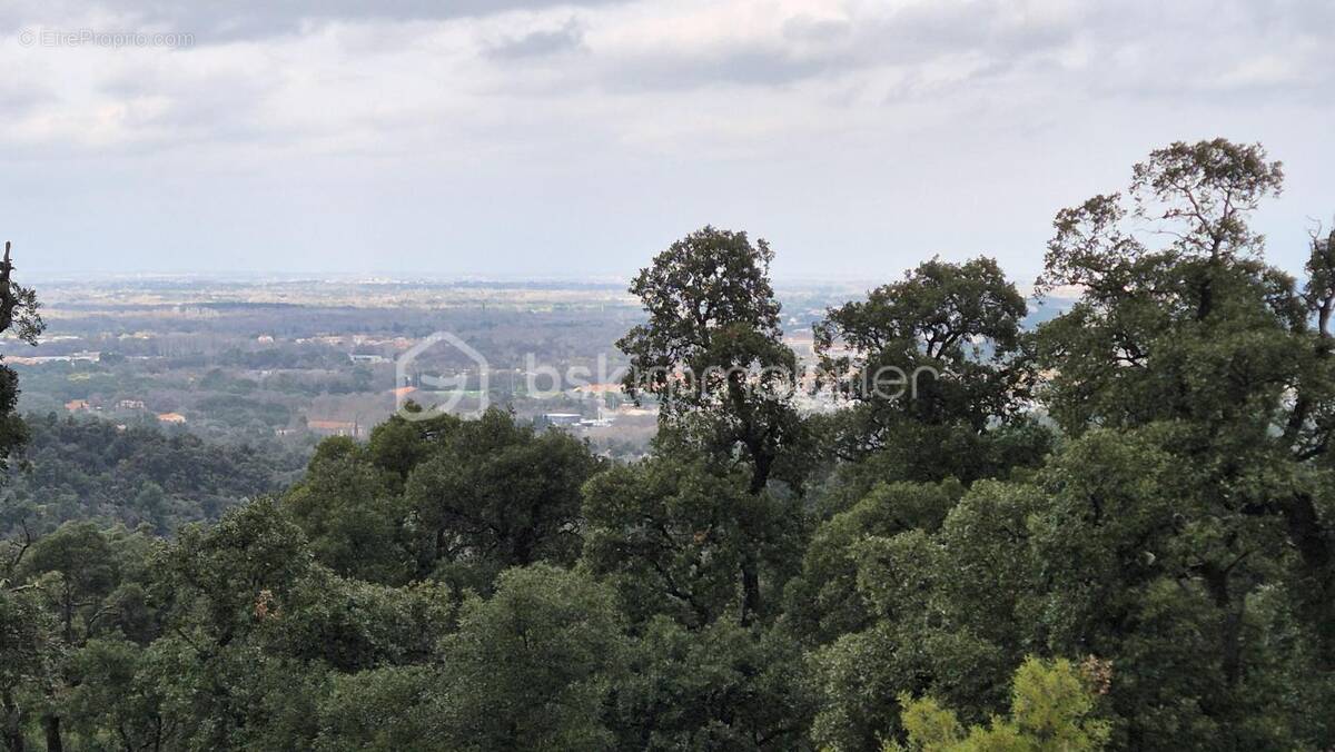 Terrain à ARGELES-SUR-MER