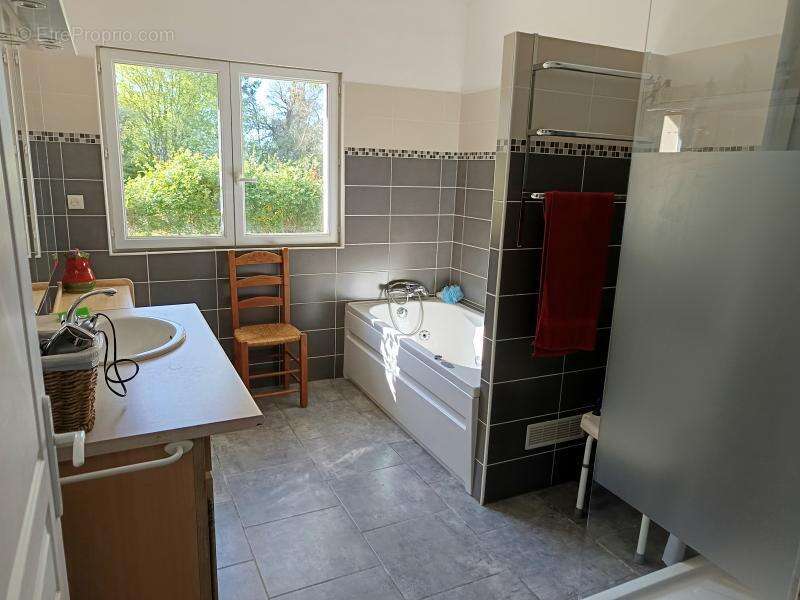 Maison à MENESPLET