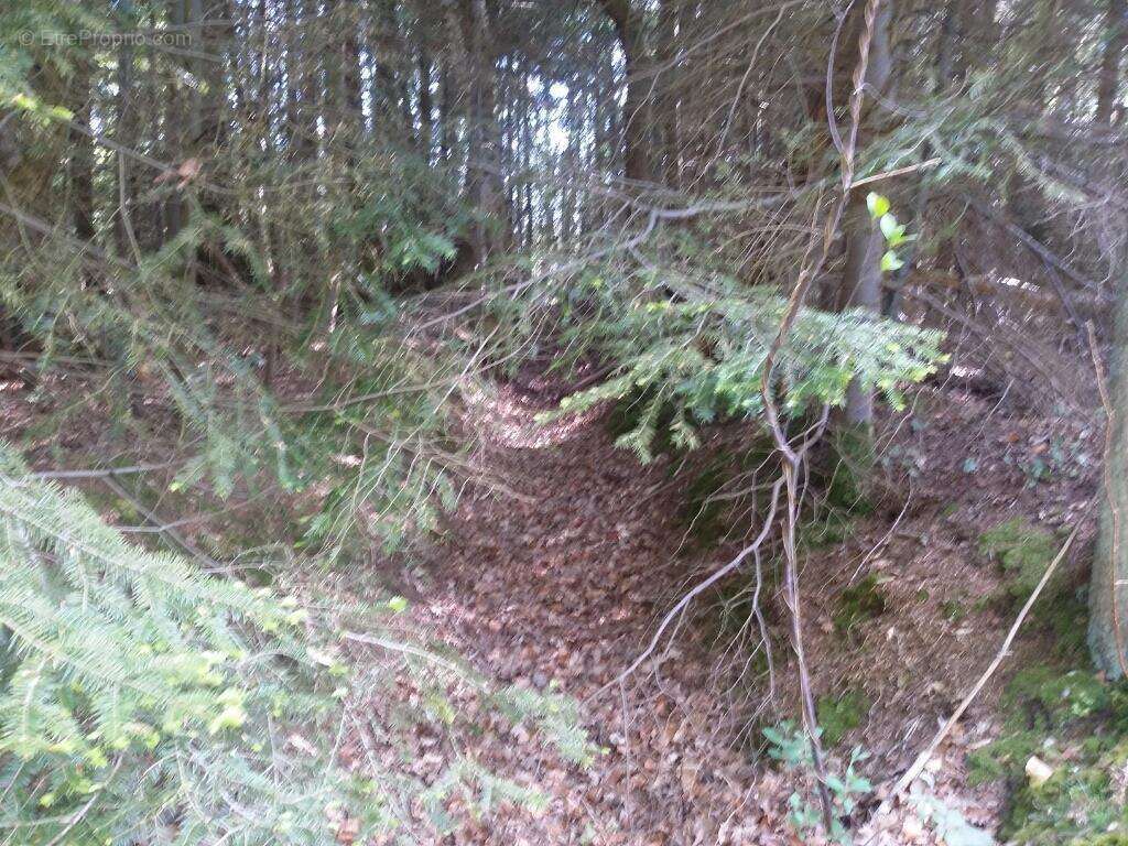 Terrain à LA FOLLETIERE-ABENON