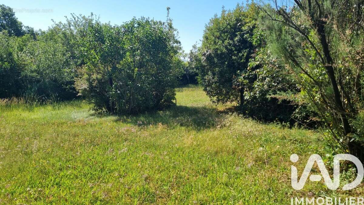 Terrain 600 m² à Lagarrigue  - photo 4
