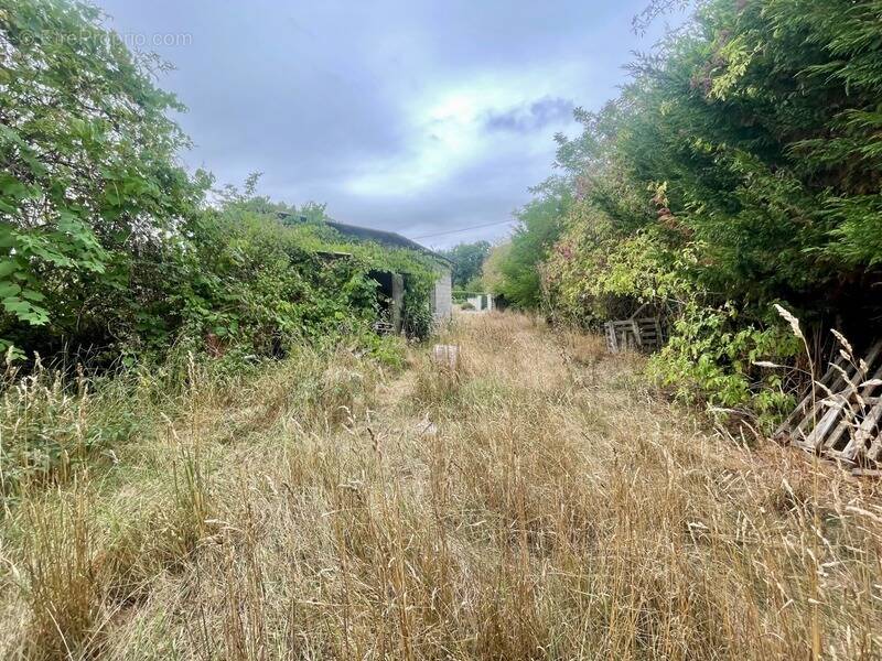 Terrain à LA GUERCHE-SUR-L&#039;AUBOIS