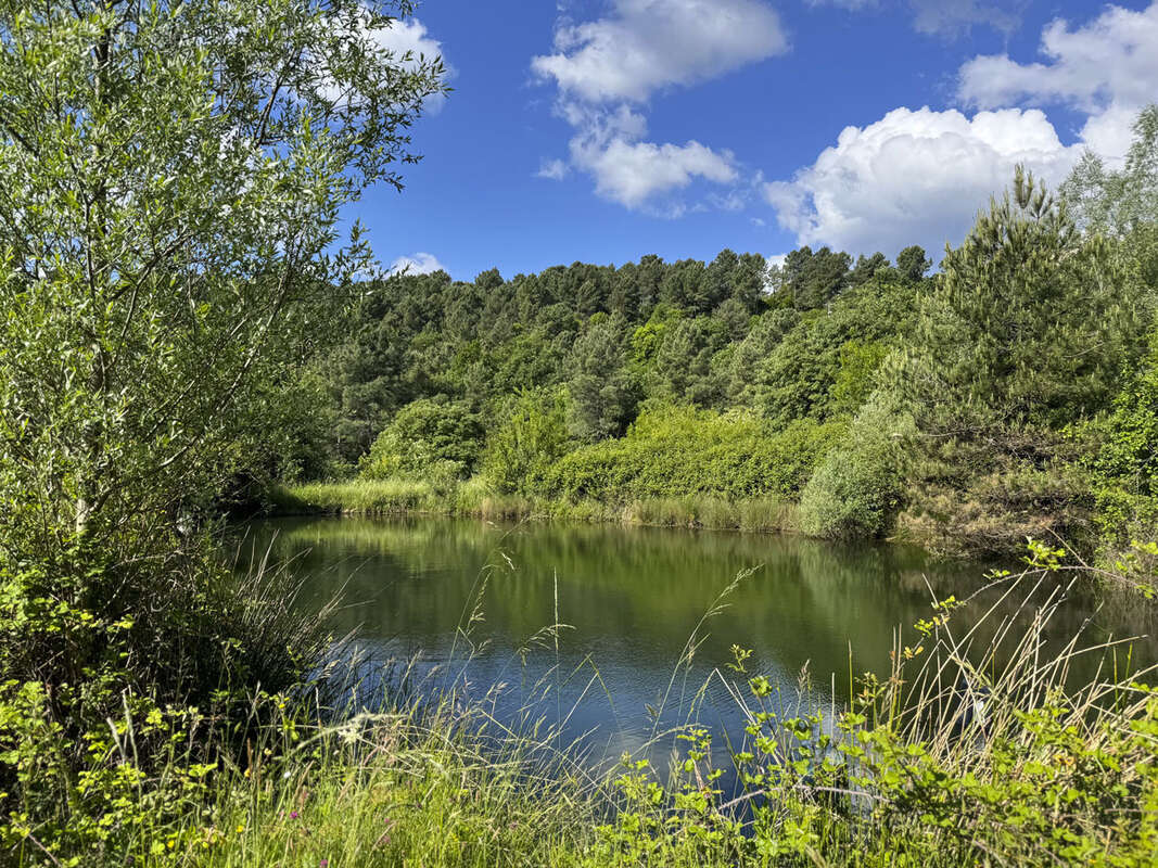 Une demeure rurale en 4 logements avec 6,34 ha de terrain et deux sources. - photo 7