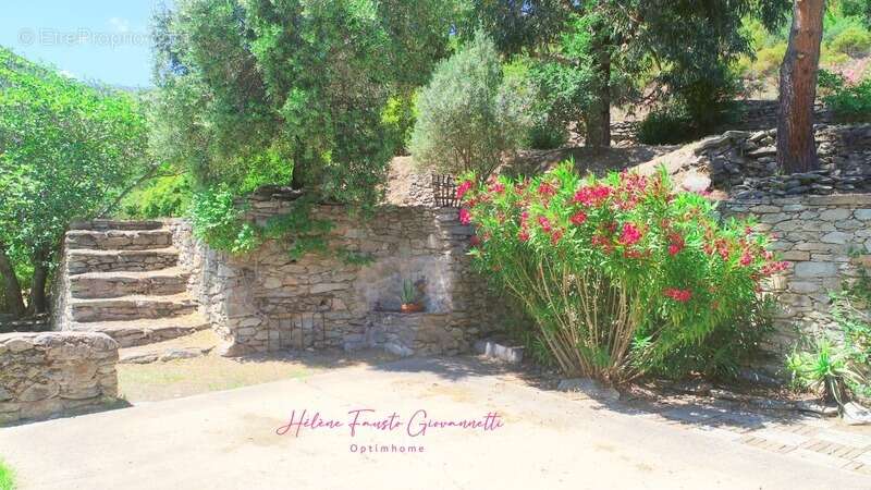 Ancien Moulin en Pierre avec dépendances sur près de 2,3 hectares – Santo-Pietro-di-Tenda - photo 33
