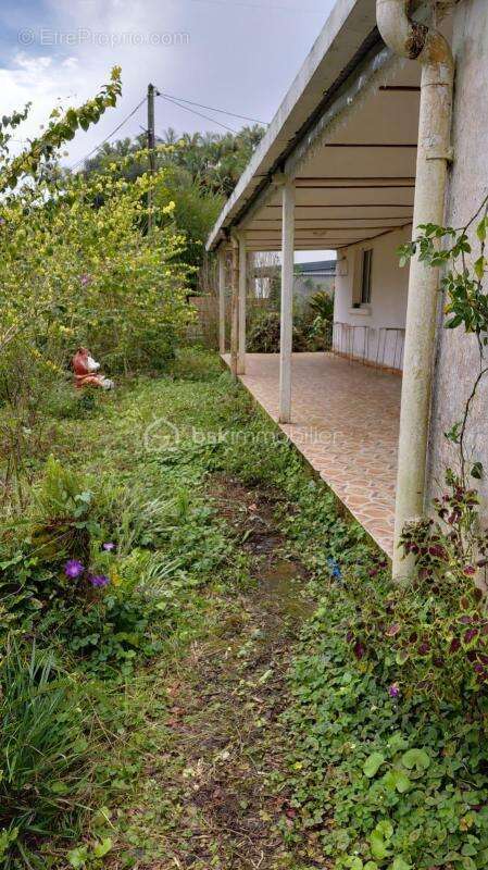 Maison 2 Chambres - photo 19