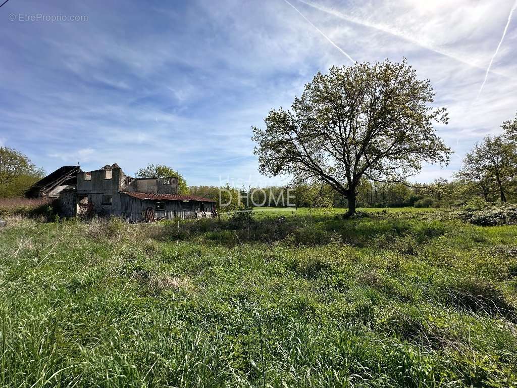 Maison à LA FERTE-GAUCHER