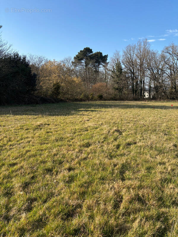 Terrain à BAINS-SUR-OUST