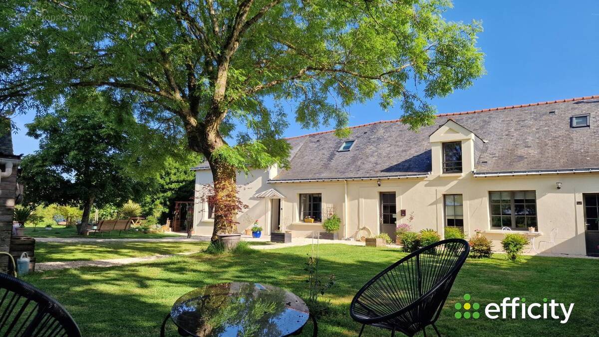 Maison à ROCHEFORT-SUR-LOIRE