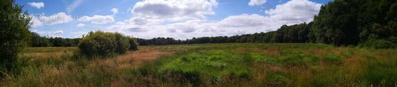 domaine agricole de 70 hectares d’un seul tenant avec bâtiment agricole et hangar - photo 3
