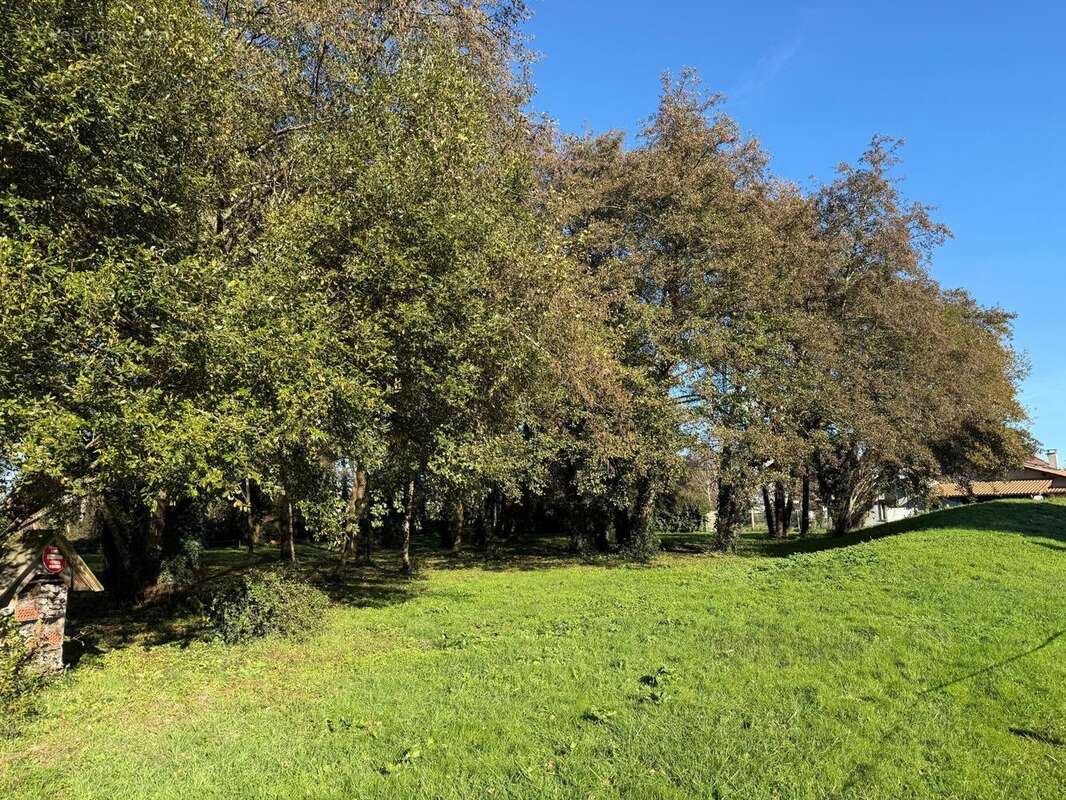 Photo 2 - Terrain à AUDENGE