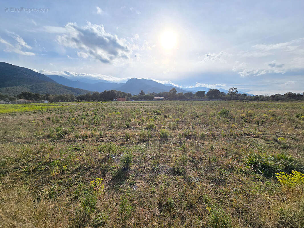 Terrain Argeles Sur Mer 44784 m2 - photo 5