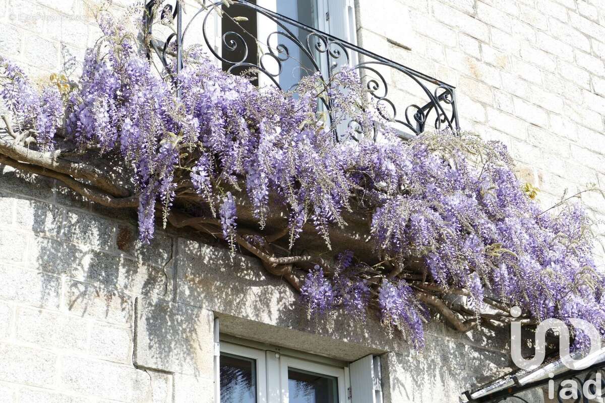 Photo 3 - Maison à PLOUER-SUR-RANCE