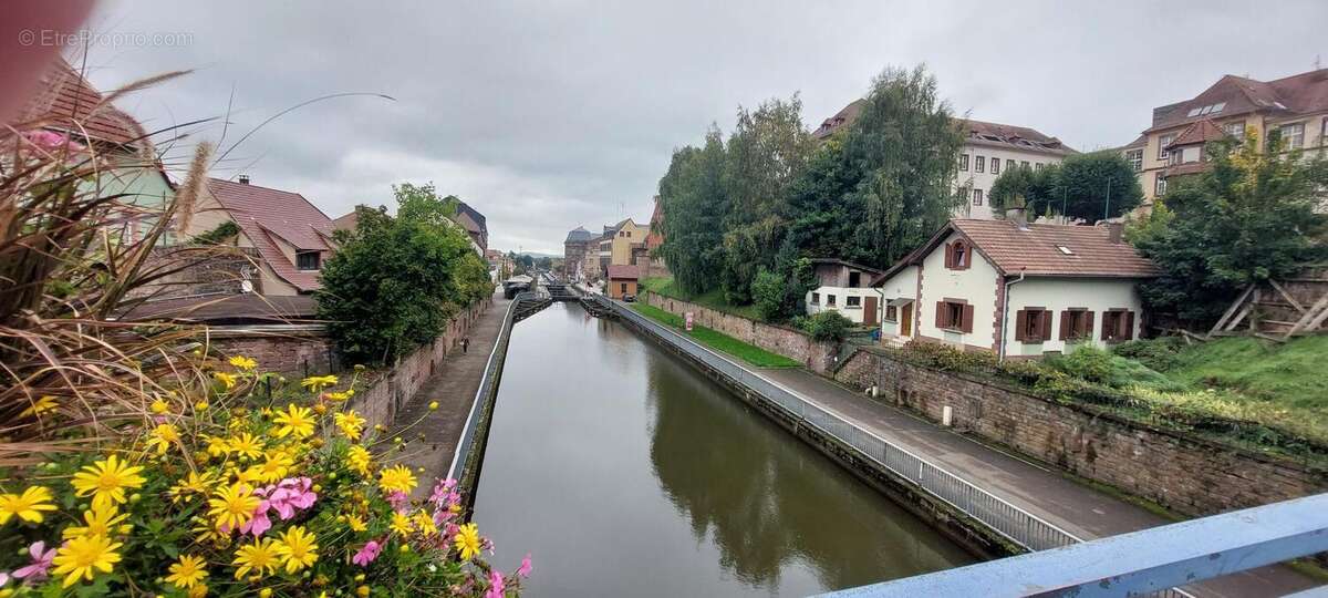 Photo 7 - Commerce à SAVERNE