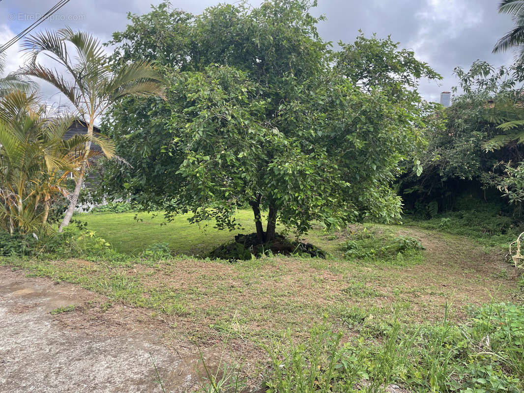 Terrain à LE TAMPON