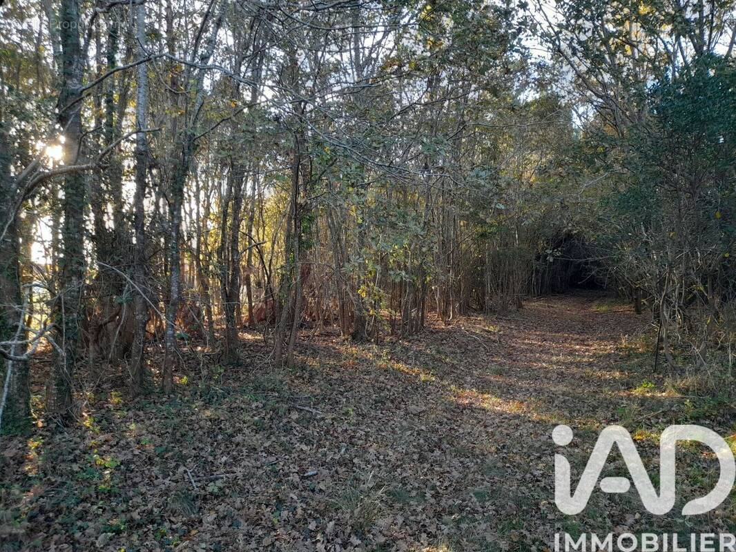 Photo 1 - Terrain à BISCARROSSE
