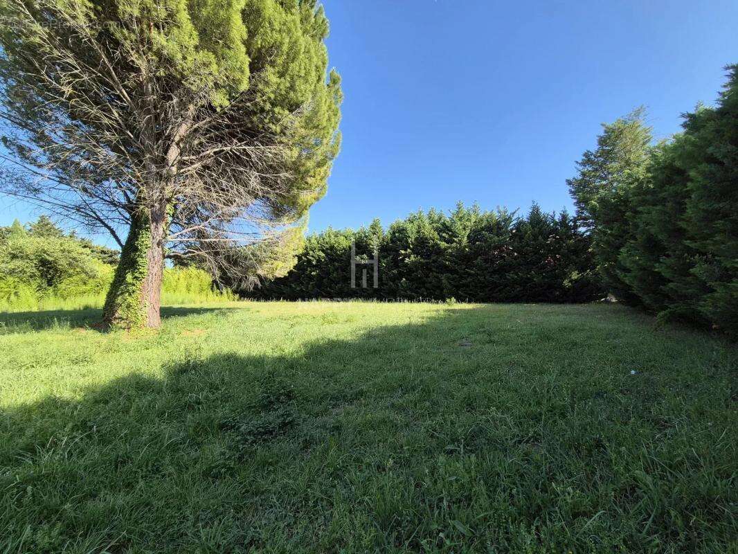 Terrain constructible - photo 2