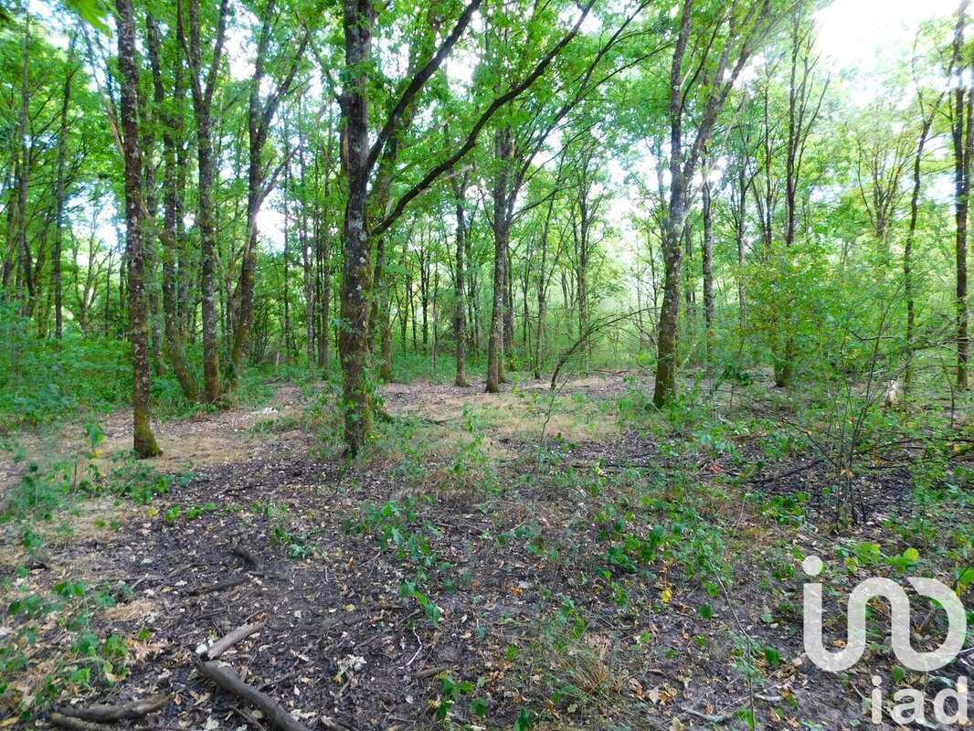 Photo 9 - Terrain à SALBRIS