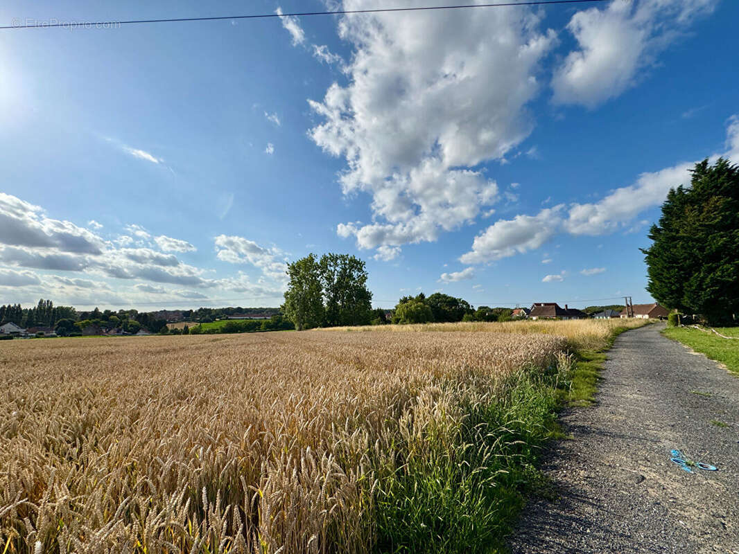 Terrain à AUCHEL