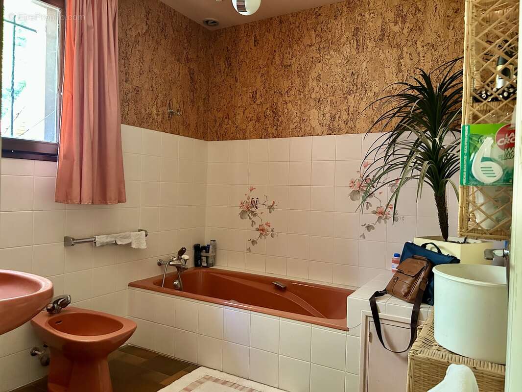 A vendre maison traditionnelle plain pied avec grand potentiel à - photo 8