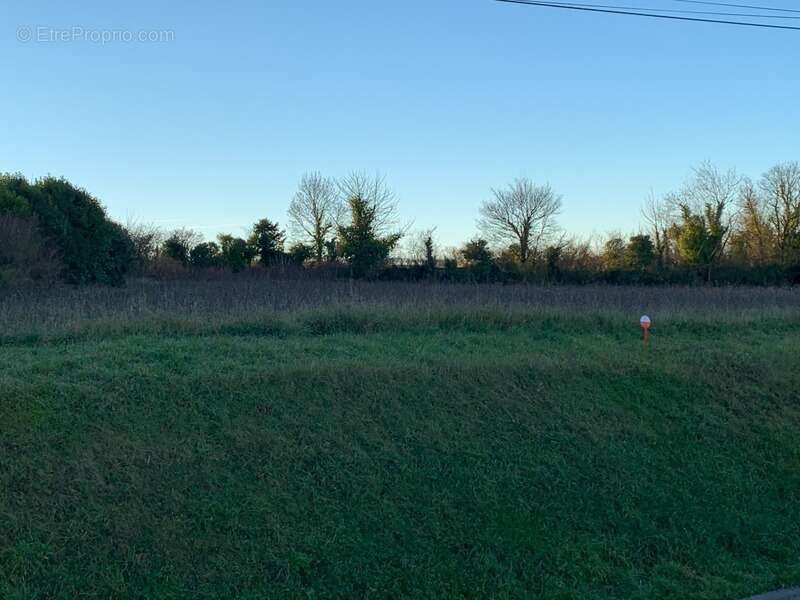Terrain à SAINT-DENIS-DU-PIN