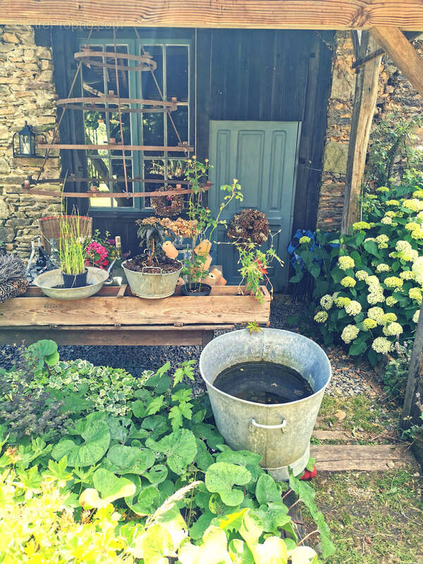 Maison d'artiste avec jardin botanique, source - Terrain 1,6 hectare - photo 16