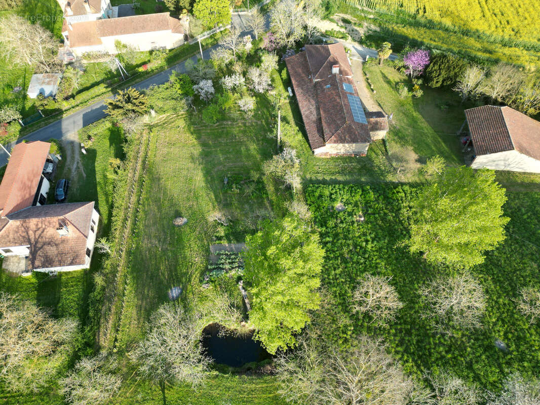 Maison à Vendre en Viager occupé - photo 5