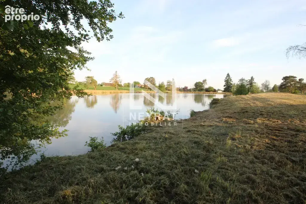 Etang avec sources - photo 18