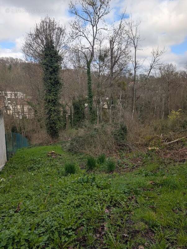 Terrain à FONTAINE-LE-PORT