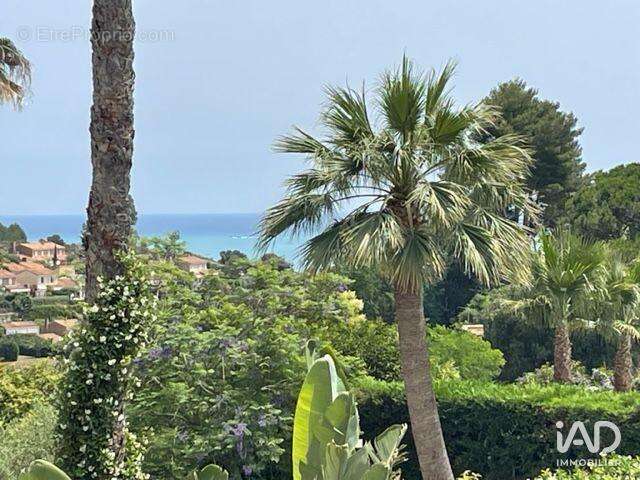 Photo 2 - Maison à VILLENEUVE-LOUBET