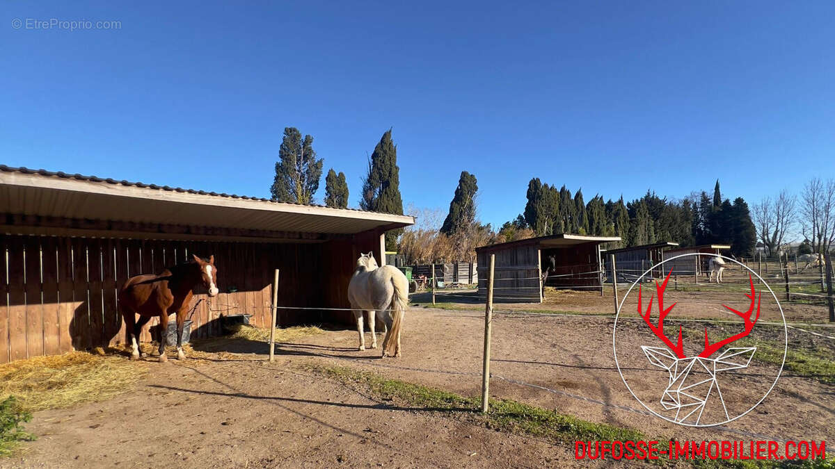 Maison à SAINT-REMY-DE-PROVENCE