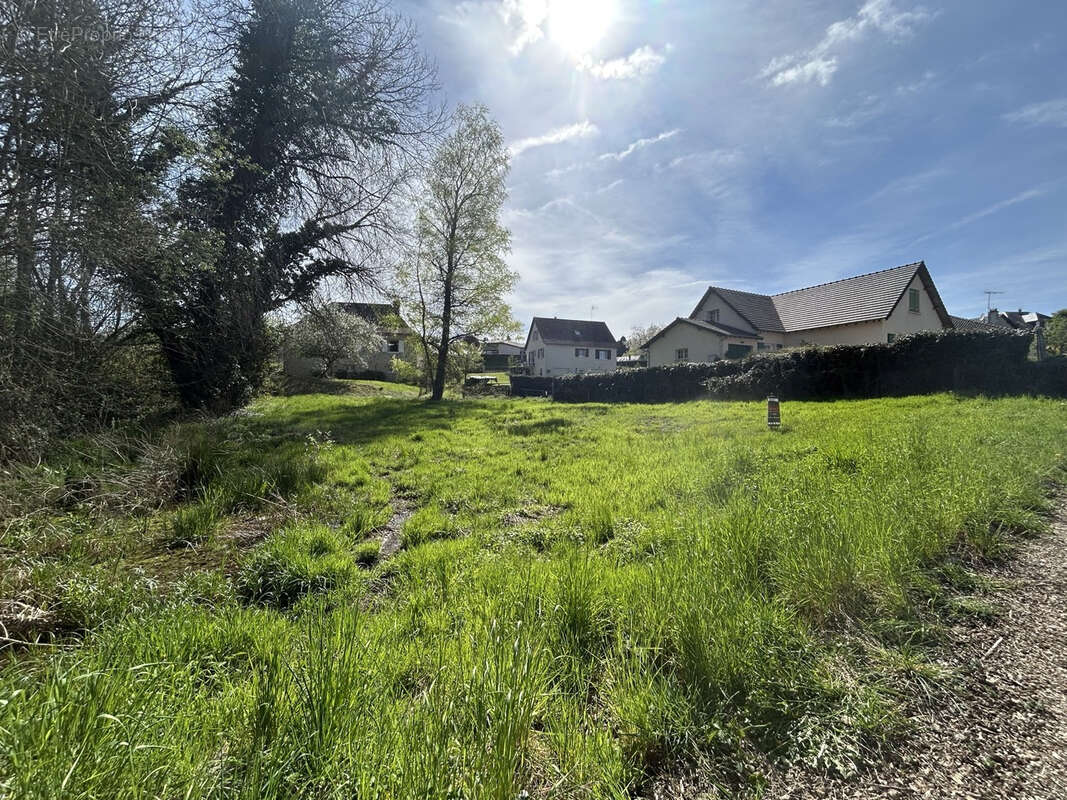 Terrain à LAGRAULIERE