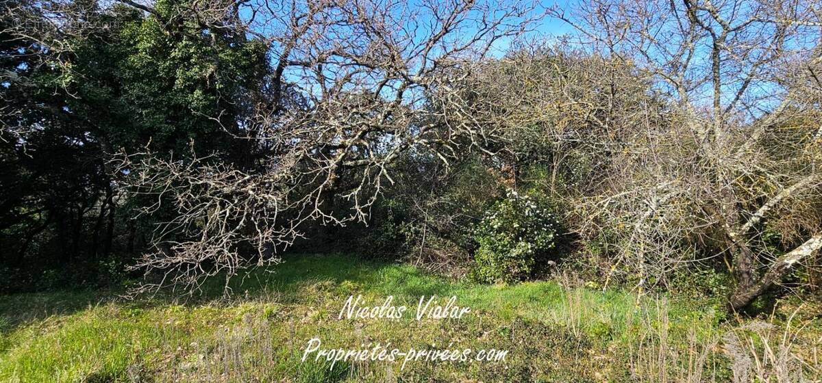 Terrain à MONTELIMAR