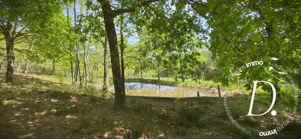 Maison à SAINTE-MARIE-DE-GOSSE