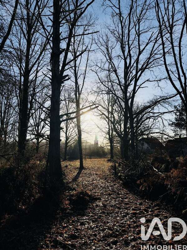 Photo 6 - Terrain à NANCAY