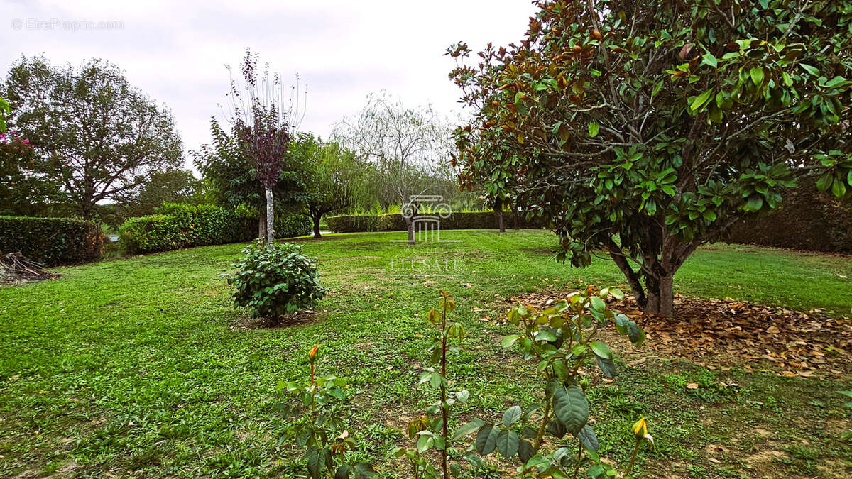 Maison à VIC-FEZENSAC