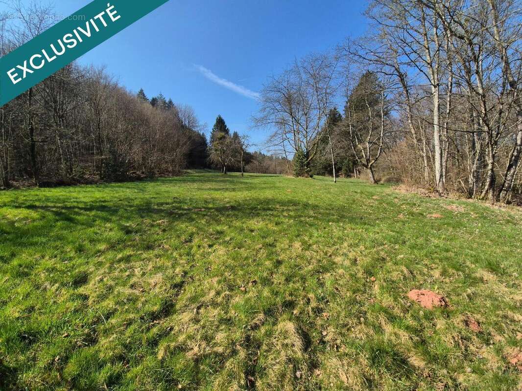 Photo 9 - Maison à ETUEFFONT